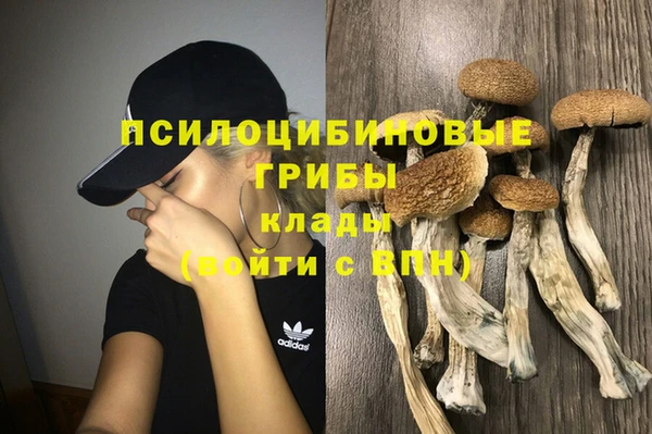 MESCALINE Новокубанск