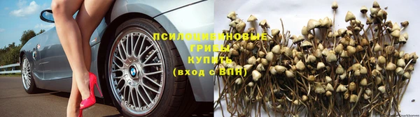 бутират Новозыбков