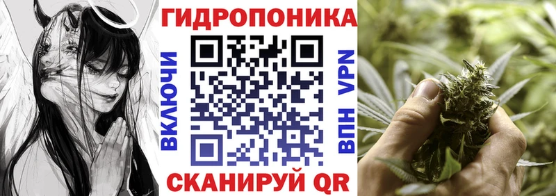 Каннабис сатива  Купить  Сальск 
